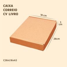 Caixa Correio Livro - envios correios - ecommerce - são Paulo - embalaease - caixa para correios - envios em caixa.- caixa para transporte